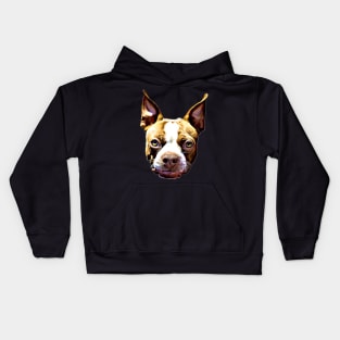 Boston Terrier Gift Ideas Cartoon Boston Terrier Face Kids Hoodie